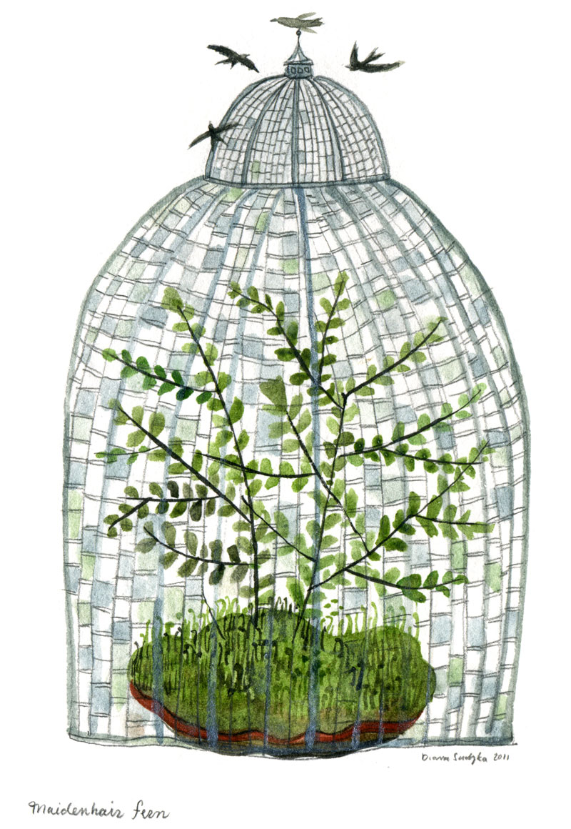 Garfield Park Conservatory