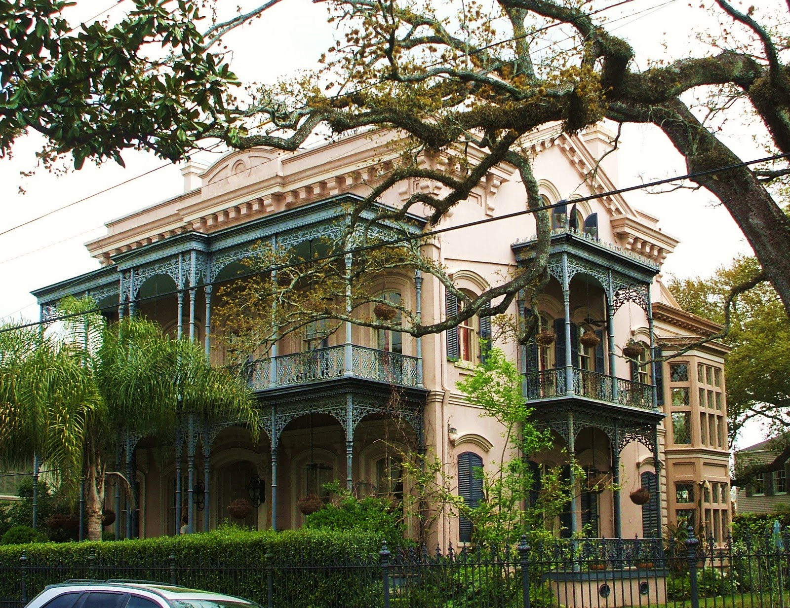 tigerente on the road New Orleans Garden District