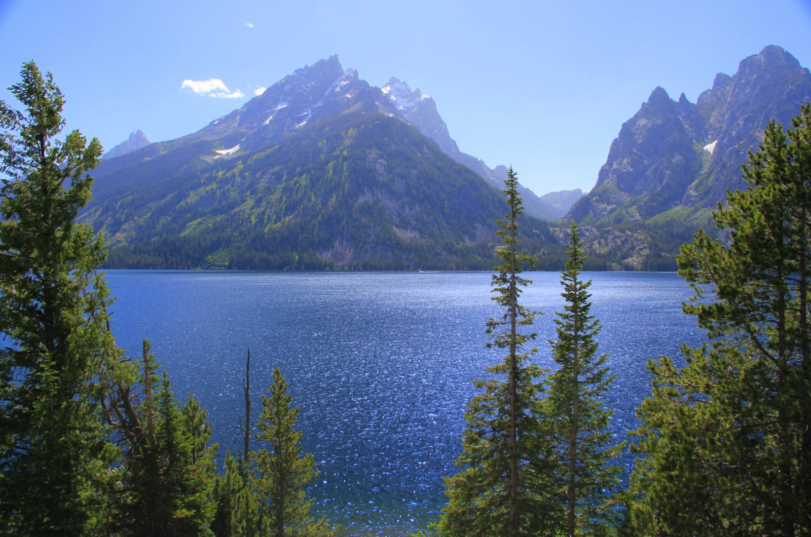 The Western Swing Jenny Lake Grand Teton National Park, Wyoming