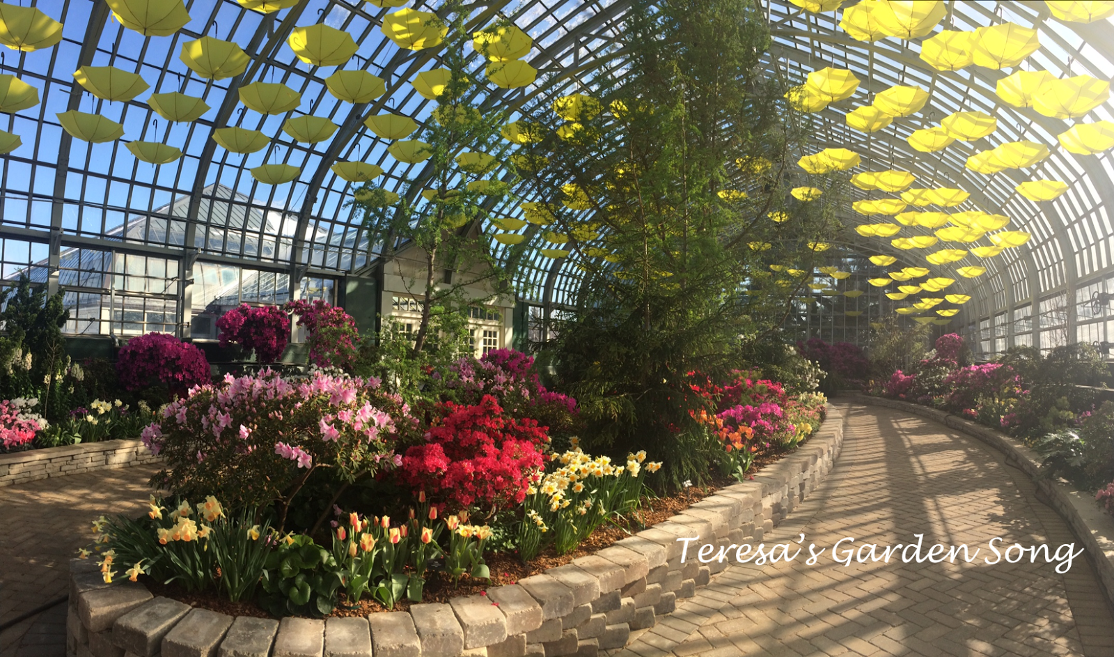 Teresa's Garden Song Spring Flower Show Garfield Park Conservatory