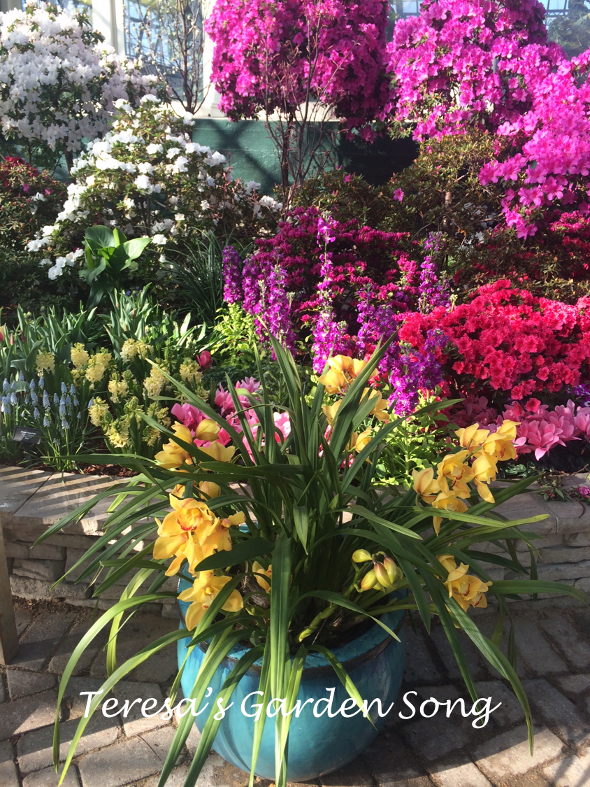 Teresa's Garden Song Spring Flower Show Garfield Park Conservatory