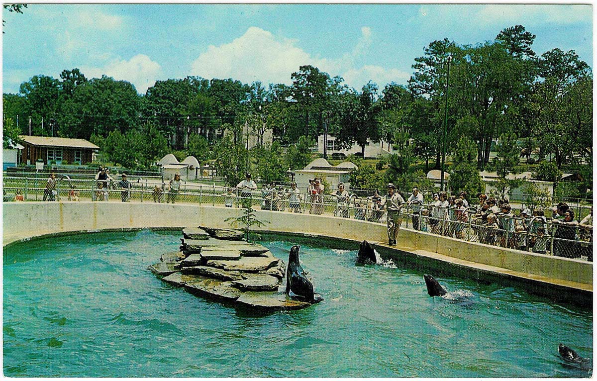 The Circus "NO SPIN ZONE" Vintage Zoo Atlanta/Grant Park