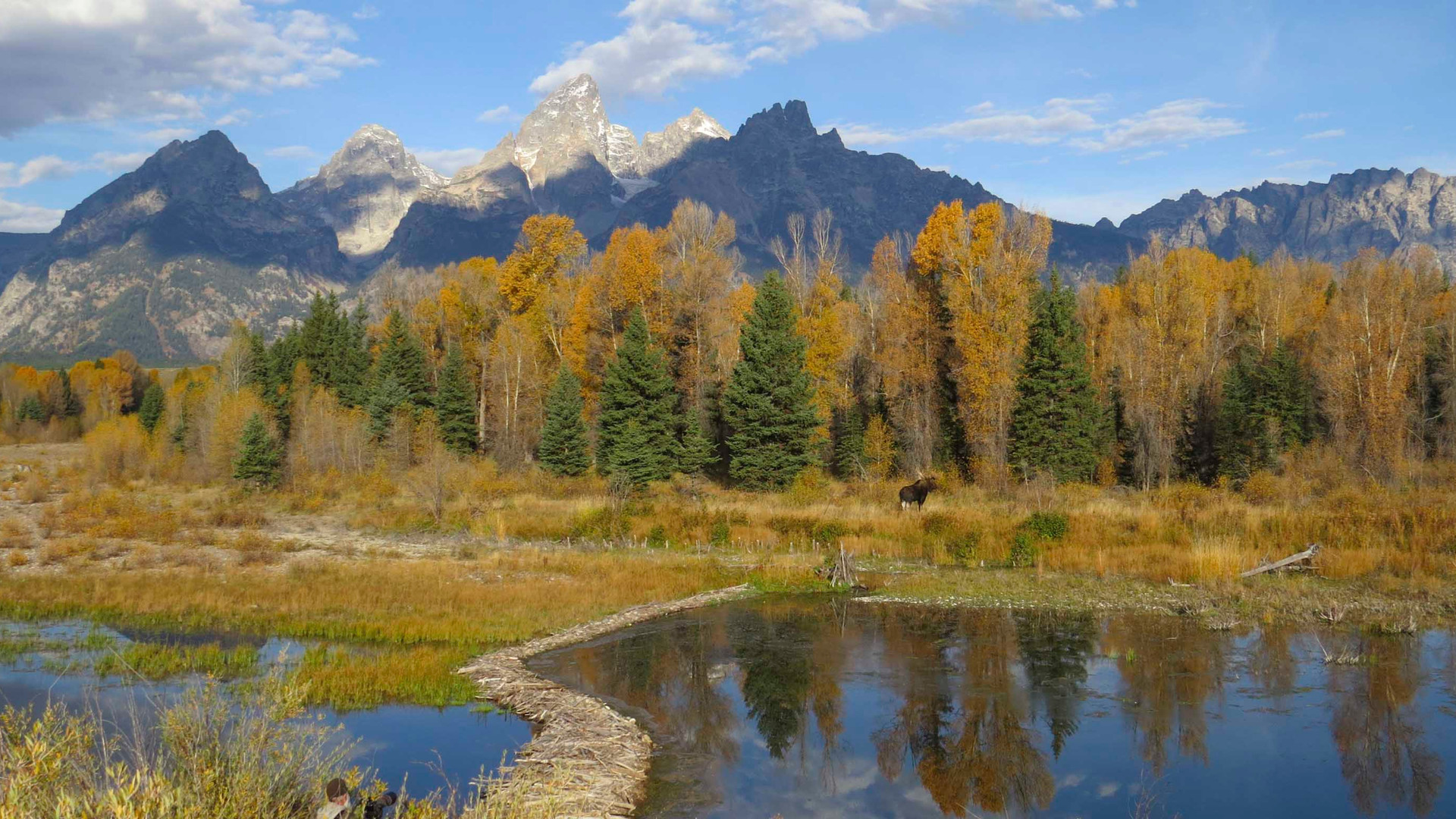 Grand Teton National Park Tours Wildlife Tours Jackson Hole, WY