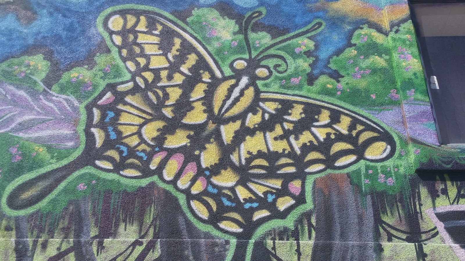 Str33t 4rt Street Art Salt Lake City United States